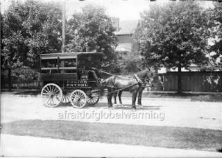 Photo 1879 Detroit MI Horse Drawn Police Wagon  