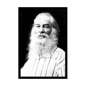 Walt Whitman 20x30 poster 
