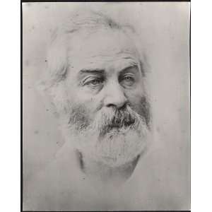  Walter/Walt Whitman,1819 1892,american poet,humanist