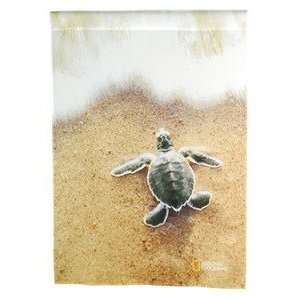  Baby Turtle Standard Decorative House Flag: Patio, Lawn 