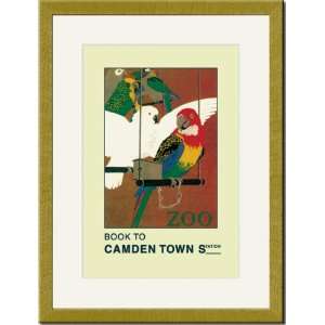   /Matted Print 17x23, The London Zoo Exotic Birds