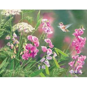  Lang Boxed Note Cards   Hummingbird, Wild Sweet Pea by 