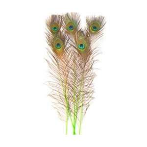  Dyed Lime Green Peacock Feathers 35 40 (Pack of 100 
