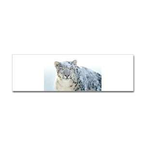  Bumper Sticker Snow Leopard HD Apple: Everything Else