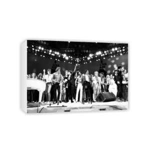  Live Aid   Freddie Mercury   Canvas   Medium   30x45cm 