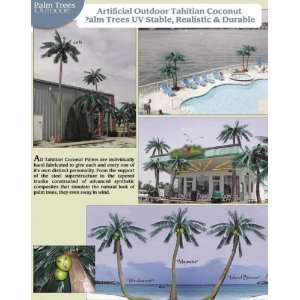  21 Outdoor Coconut Palm Tree (Island Breeze): Home 
