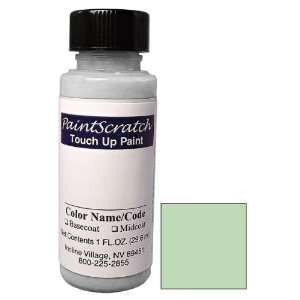  1 Oz. Bottle of Green Mist Poly Touch Up Paint for 1967 