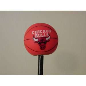  Chicago Bulls NBA Team Logo Antenna Topper: Sports 