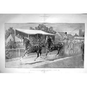 1901 Sale King Horses Wolferton Tandem Pair Cart