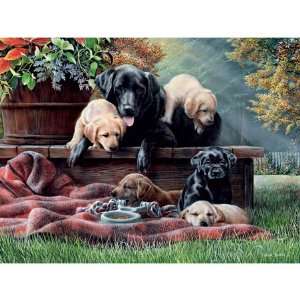 Ravensburger 1000 Piece Puzzle   Family Time : Toys & Games :  
