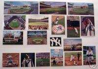 Yankees 50s 60s subjects Berra Mantle art cards gsart  