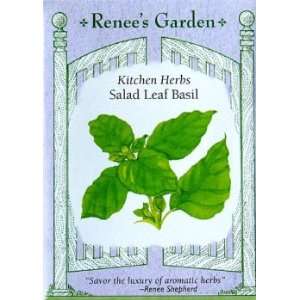  Basil Salad Leaf Seeds 500 Seeds Patio, Lawn & Garden