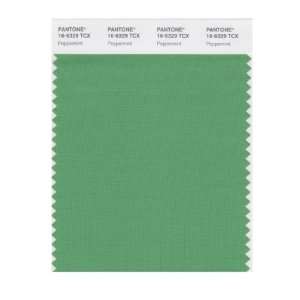  PANTONE SMART 16 6329X Color Swatch Card, Peppermint: Home 