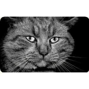  Cat Mouse Pad: Office Products