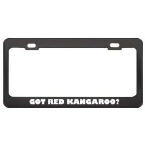 Got Red Kangaroo? Animals Pets Black Metal License Plate Frame Holder 