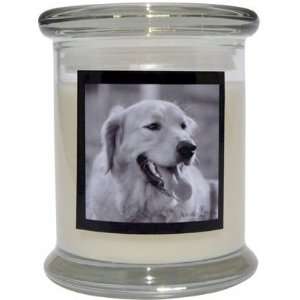   Aroma Paws 316 Breed Candle 12 Oz. Jar   Golden Retriever: Home