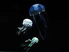 Christmas gift Magic LED Light Jellyfish Aquarium