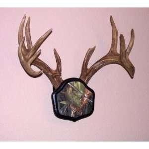 The Deer Stand Antler Mount: Sports & Outdoors