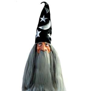  Wizard Mask Hat And Hair Grey Toys & Games