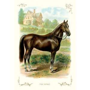  Horse 24X36 Giclee Paper