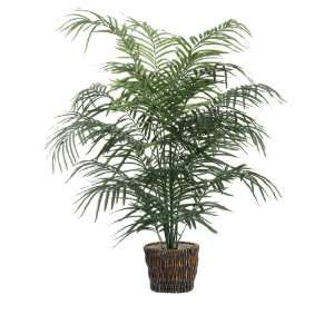   Potted All Natural Dwarf Areca Palm Tree   Unlit: Home & Kitchen