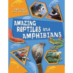  Amazing Reptiles and Amphibians (Amazing Life Cycles 