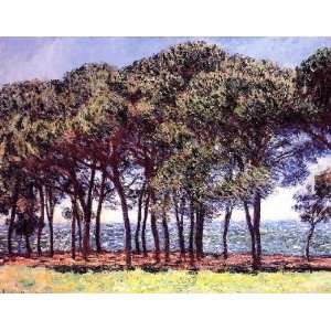   24x36 Inch, painting name Pine Trees Cap dAntibes, by Monet Claude