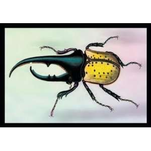   Exclusive By Buyenlarge Horned Beetle #1 20x30 poster
