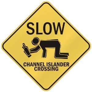   SLOW  CHANNEL ISLANDER CROSSING  JERSEY