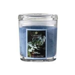  Cactus Flower Scented Jar Candles 8oz (Set of 4) by 