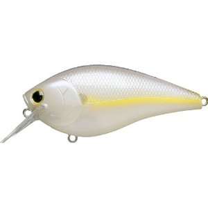   Fat CB BDS 4 Chart Shad Crank Bait Fishing Lure: Sports & Outdoors
