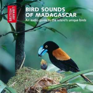  Bird Sounds of Madagascar An Audio Guide to the Islands 