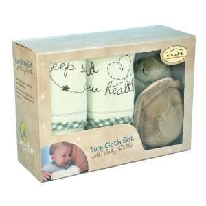 Burp Cloth Box Set  Sage 2pc Set w/ Baby Turtle  Kitchen 