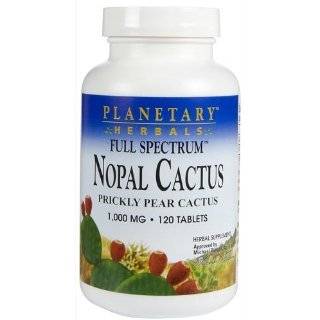 Nopal Cactus Powder   Organic 400g HQS