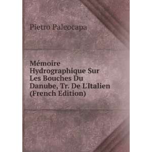   Du Danube, Tr. De LItalien (French Edition) Pietro Paleocapa Books