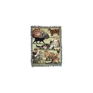 Pats Cats Cat Collage by Pat Cockrell Tapestry Throw 50 x 60  