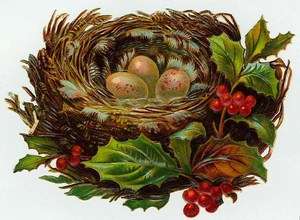   Victorian Christmas Postcard Printed onto Fabric Victorian Robin Eggs