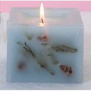  Sea shell decorative candle   Style 28045: Home & Kitchen