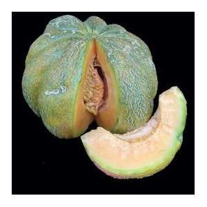  Emerald Gem Melon Seeds