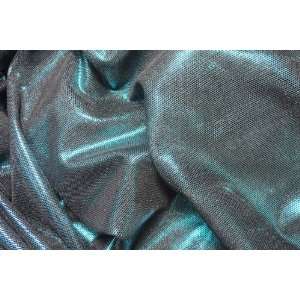    Polyester Spandex Metallic Stretch Mesh Fabric: Home & Kitchen