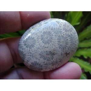   Gemqz Coral Agate Flower Oval Cabochon Beauty  