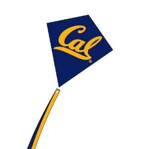  University of California Berkley Bears   Diamond Kite 