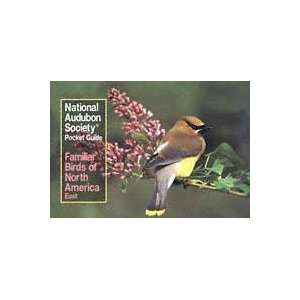   Audubon   Familiar Birds of North America East Patio, Lawn & Garden