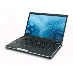   Satellite P505 S8010 Core i3 330M 2.13 GHz Laptop  