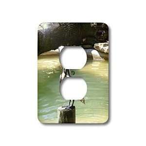  Florene Birds   Penney The Pelican   Light Switch Covers 