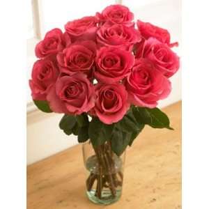 One Dozen Rich Pink Roses Grocery & Gourmet Food