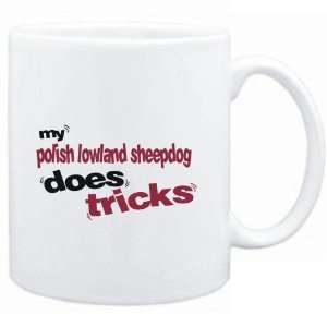    MY Polish Lowland Sheepdog DOES TRICKS  Dogs