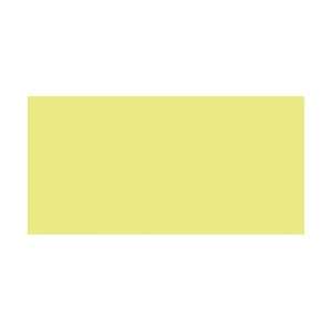   Plastic Canvas 7 Count 10X13 Neon Yellow 33900 28; 12 Items/Order