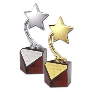  Flying Star Award 