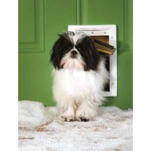   Small, Part No. PPA00 10984 (Product Group: Pet Doors): Pet Supplies